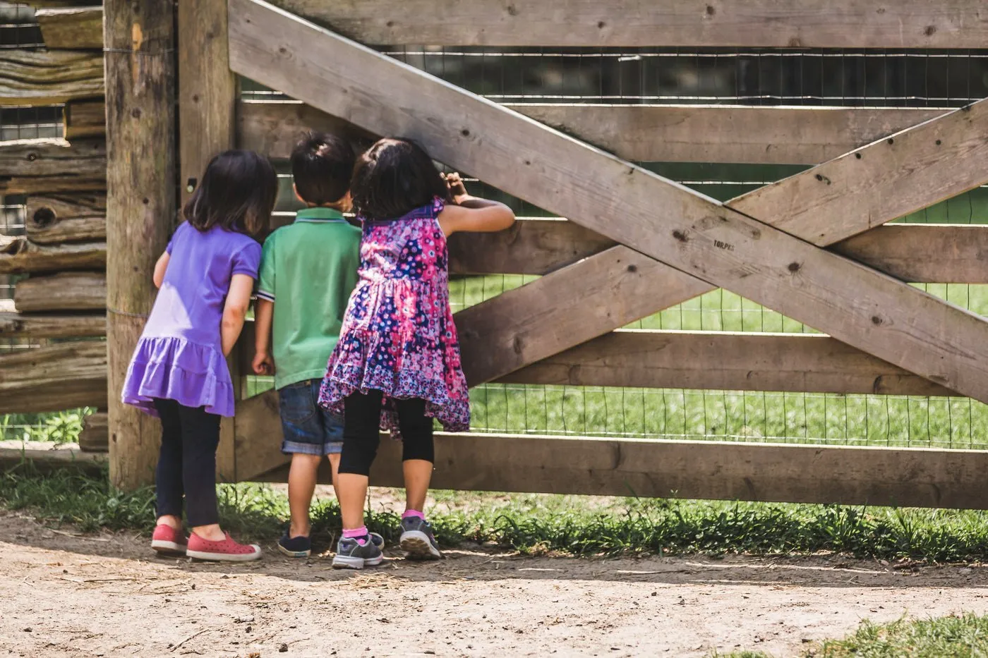 Trois enfants regardent par-dessus une barrière